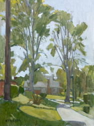 Tall Trees in Villa Portofino