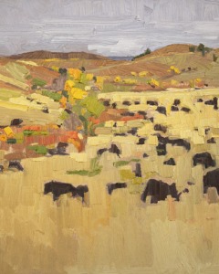 Where the Buffalo Roam