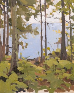 Lake Michigan Through the Trees