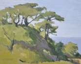 Torrey Pines