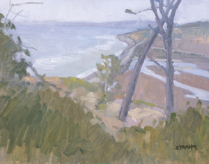 Batiquitos Lagoon From Torrey Pines Batiquitos Lagoon From Torrey Pines