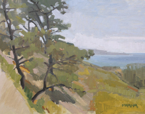 La Jolla From Torrey Pines
