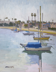Moored Boats at Santa Barbara Harbor