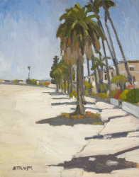 Palm Trees Along Bayside South Mission