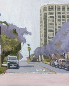 Laurel Street Jacarandas