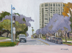Laurel Street Jacarandas